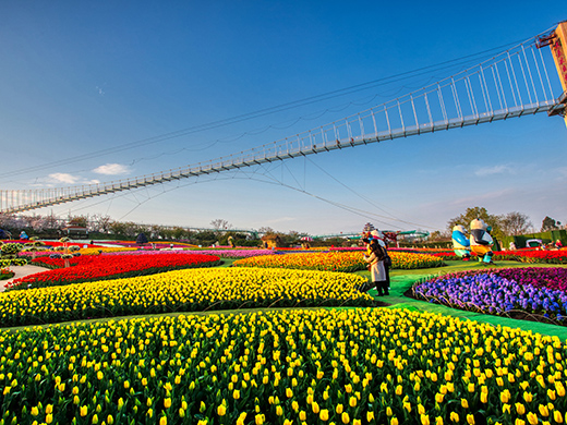 成都曼花莊園景區(qū)-浙江鵬鳴游樂設(shè)備有限公司